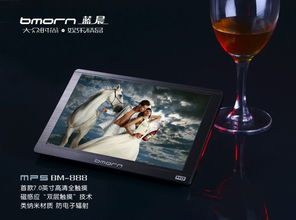 bm 888 16g mp3产品图片66